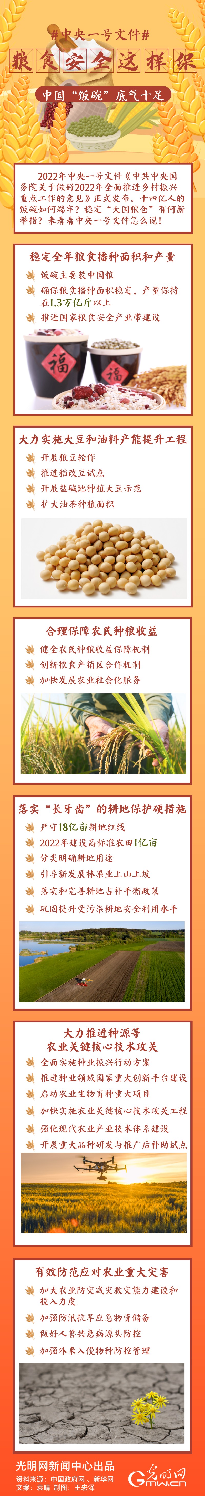 中央一號文件｜糧食安全這樣保，中國“飯碗”底氣十足