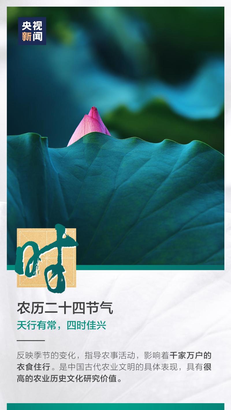 這也太浪漫了吧！