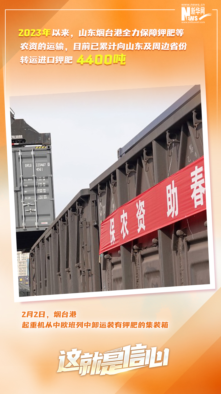 這就是信心｜實干爭春早，外貿樞紐貨運忙