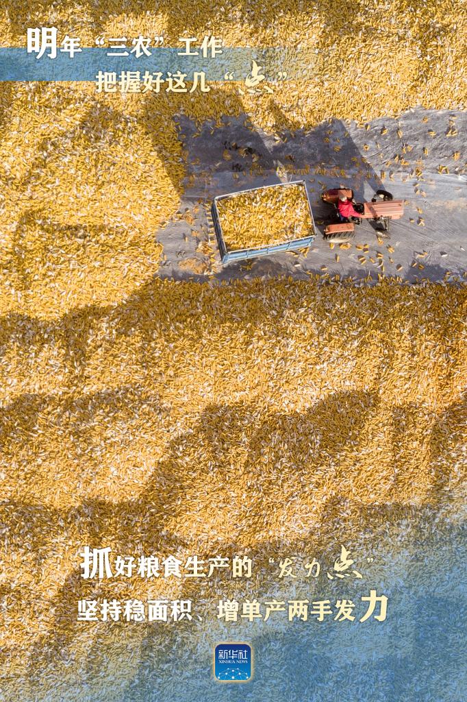 明年“三農”工作，這幾個“點”要把握好
