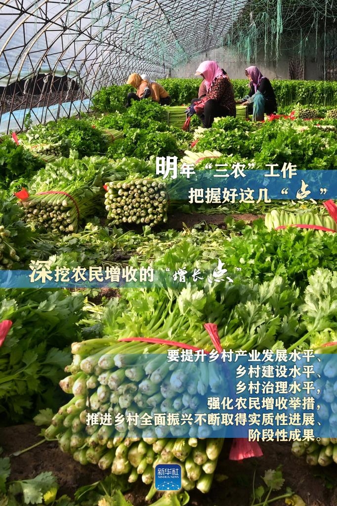 明年“三農”工作，這幾個“點”要把握好