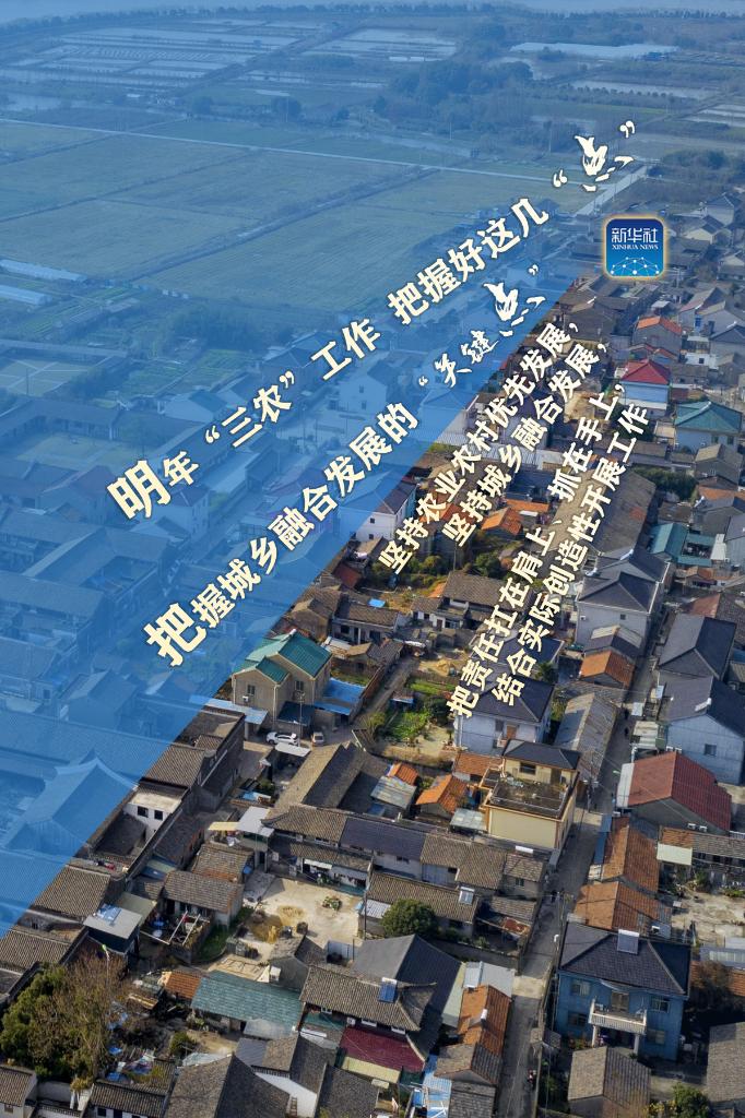 明年“三農”工作，這幾個“點”要把握好