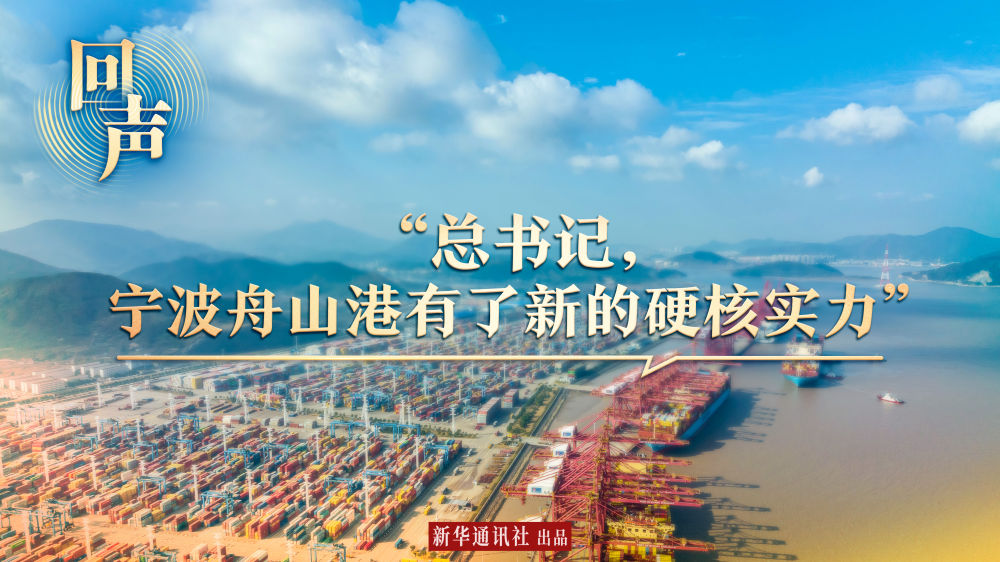 回聲｜“總書記，寧波舟山港有了新的硬核實力”