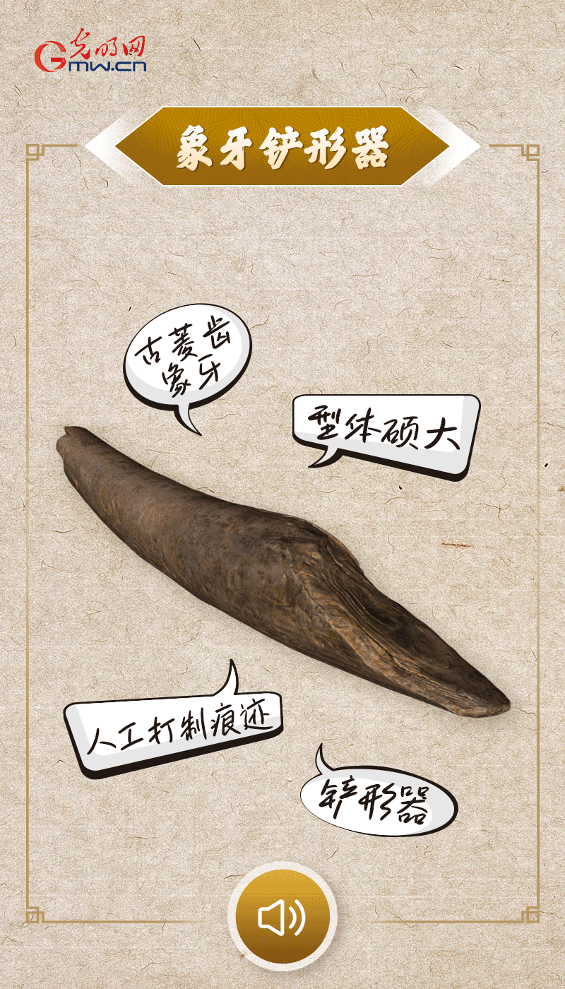 文物會說話 |@所有人，帶你看看“十大考古新發現”的新故事