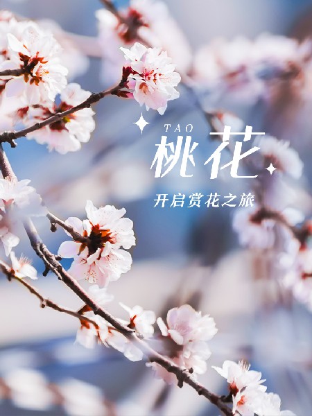 追花指南第三期！別等了 今天就去和桃花撞個滿懷