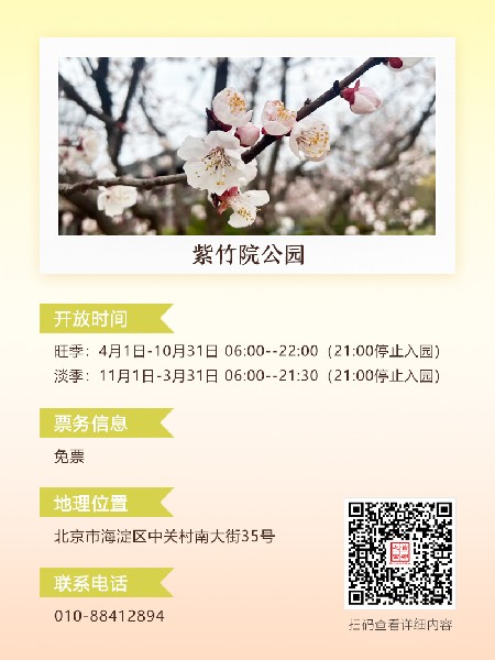 追花指南第六期！杏花雨 楊柳風 北京最美的杏花在這里