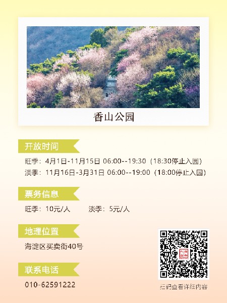 追花指南第六期！杏花雨 楊柳風 北京最美的杏花在這里