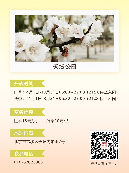 追花指南第六期！杏花雨 楊柳風 北京最美的杏花在這里