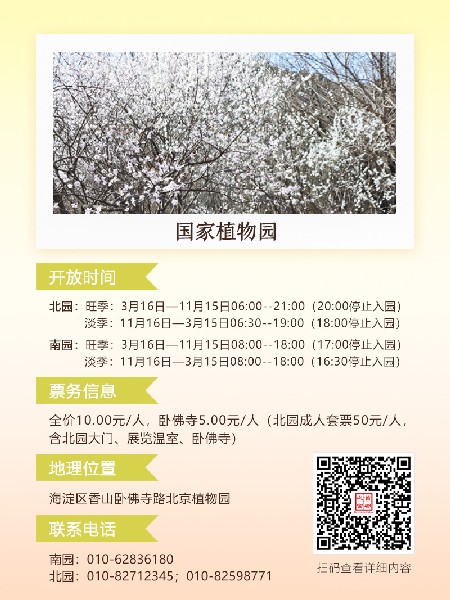 追花指南第六期！杏花雨 楊柳風 北京最美的杏花在這里