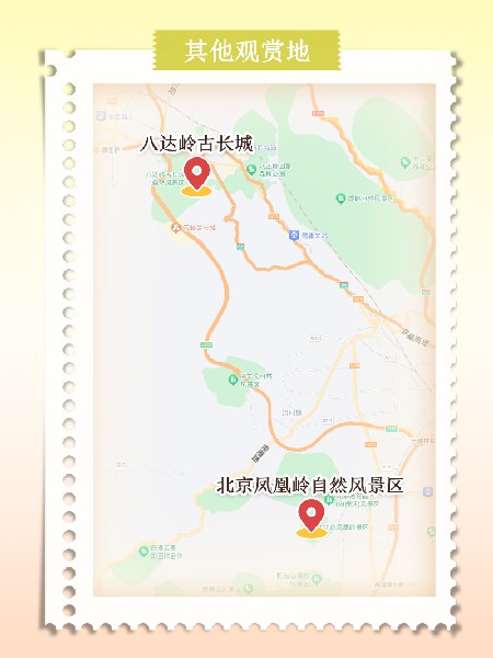 追花指南第六期！杏花雨 楊柳風 北京最美的杏花在這里
