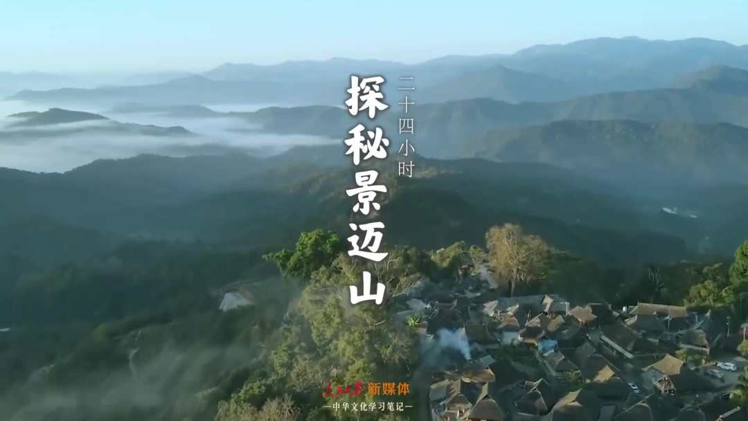 景邁山是個什么山？航拍云南普洱森林里的世界遺產