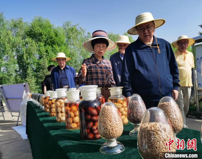 青海：利用冷涼氣候，打造高原綠色種業輸出地