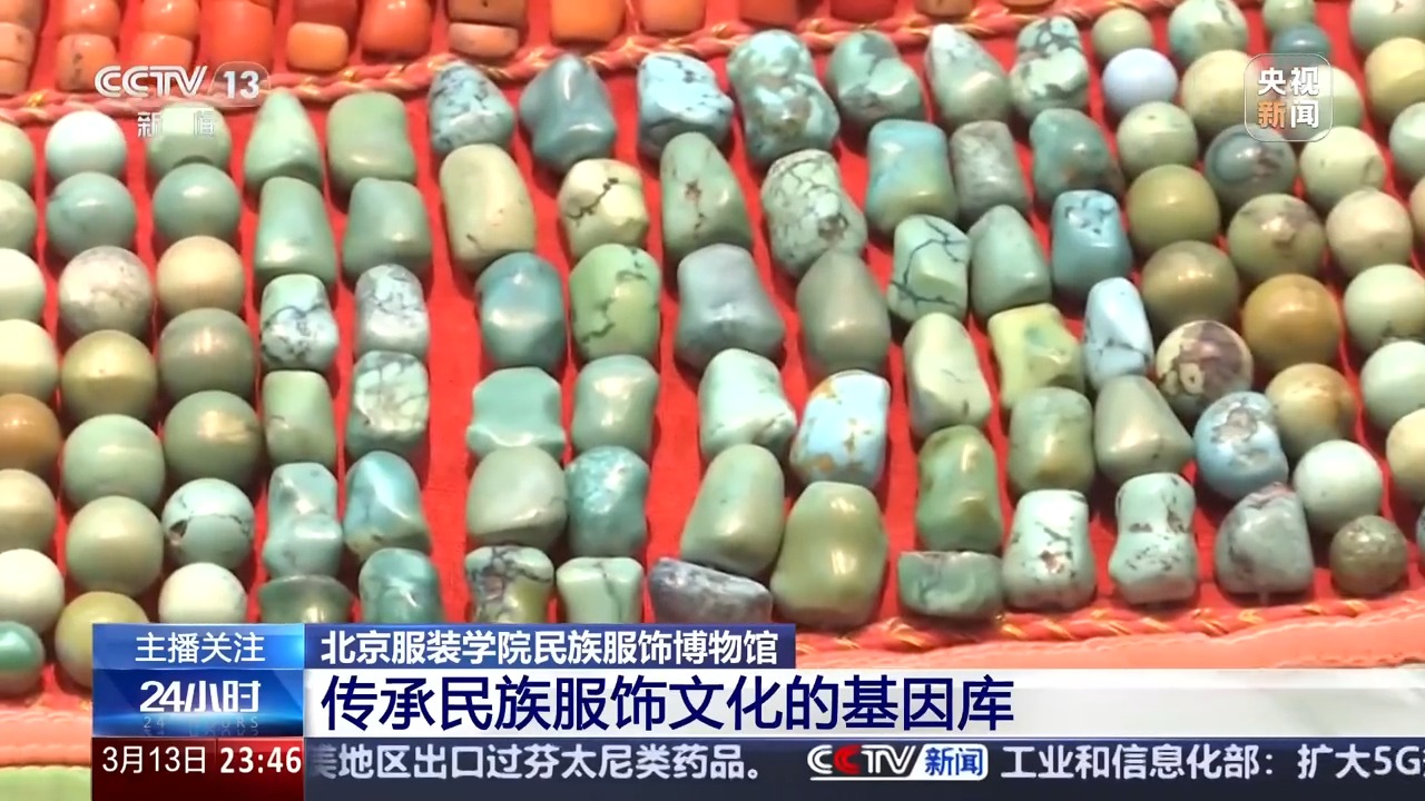 立足專業領域、一館一特色！高校博物館也很值得逛