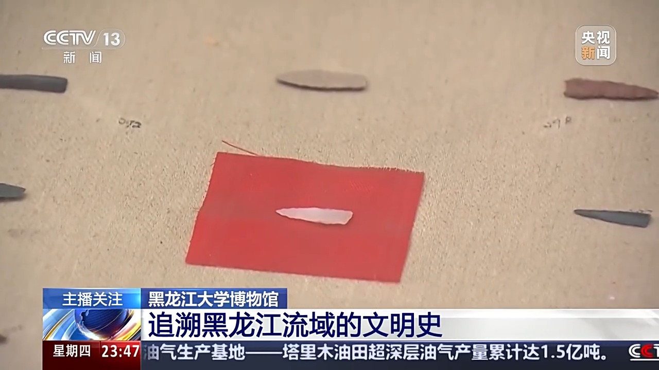 立足專業領域、一館一特色！高校博物館也很值得逛