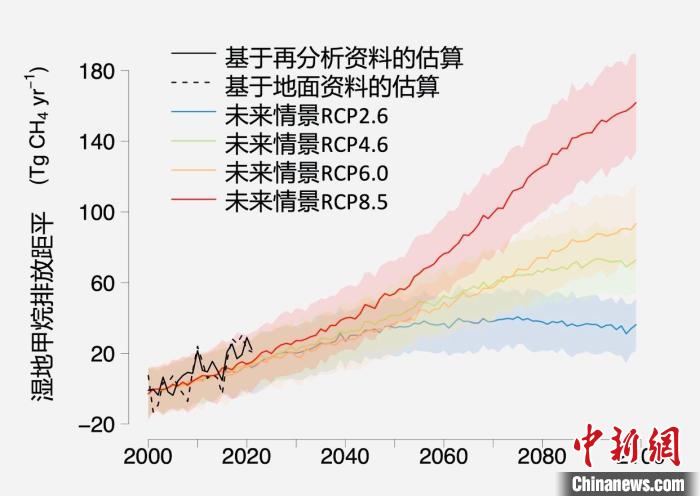 基于觀測的濕地甲烷排放變化與未來氣候變化情景下估算的對比?！≈锌圃呵嗖馗咴?供圖