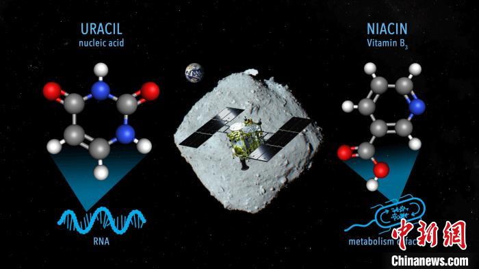 國際最新研究稱，近地小行星“龍宮”上發現尿嘧啶等核酸堿基