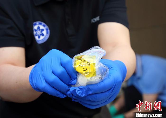 隨神舟十五號返回地面的空間科學實驗樣品?！≈锌圃嚎臻g應用中心 供圖