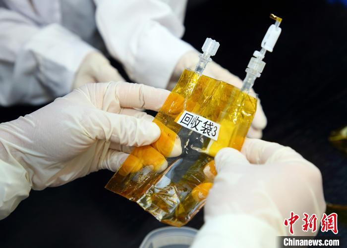 隨神舟十五號返回地面的空間科學實驗樣品?！≈锌圃嚎臻g應用中心 供圖