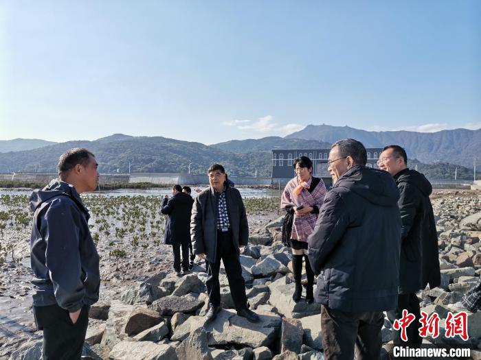 浙江海洋生態觀察：智慧大腦如何解鎖藍色發展密碼？