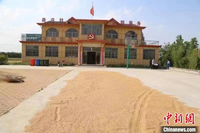 農民在邳莊鎮尚莊村黨群服務中心大院里曬糧?！≠Z萌 攝