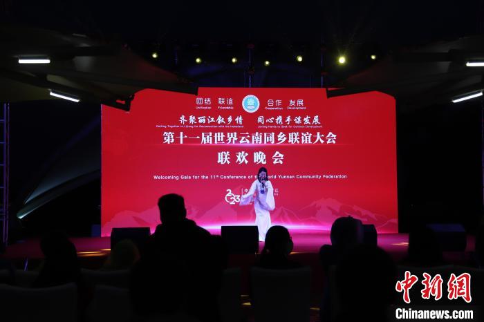 圖為第十一屆世界云南同鄉聯誼大會舉辦聯歡晚會?！〈抻澜?攝