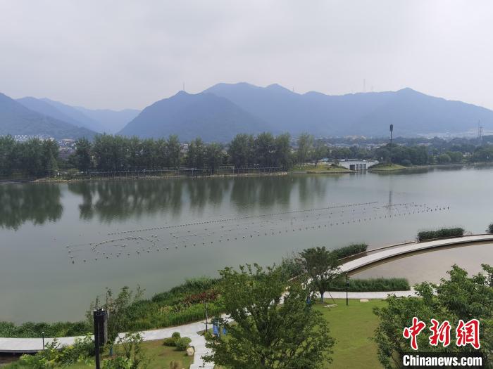 兩岸媒體共探杭州亞運會“綠”在何處？