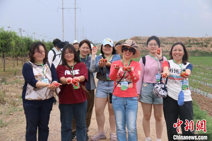 圖為臺胞體驗大美內蒙古?！⊥袐I供圖