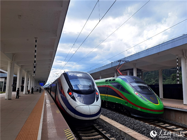 “復興號”和“瀾滄號”國際旅客列車?？吭诶蠐肽ザ≌?。人民網 杜明明攝