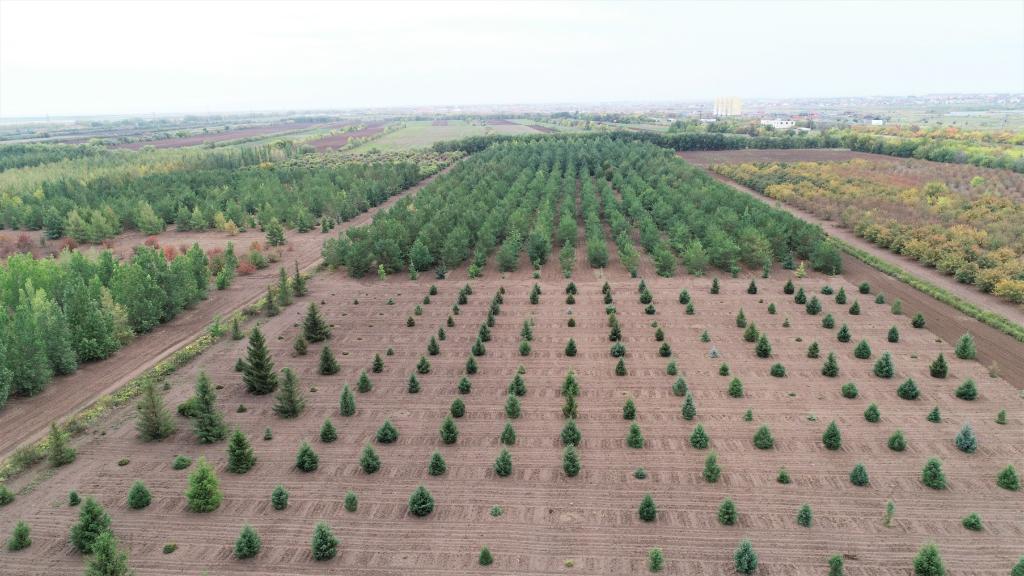 這是2023年9月11日在哈薩克斯坦首都阿斯塔納拍攝的一處植物種質資源苗圃（無人機照片）。新華社發（法爾哈特·圖克諾夫 攝）