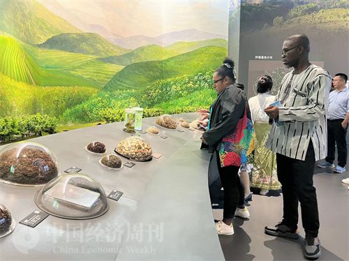   （在中國藥都中醫藥博物館，外媒記者了解中醫藥發展史。中國經濟周刊記者 郭志強 攝）