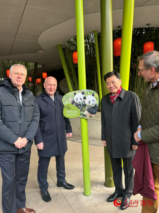 中國駐德國大使吳懇（右二）、柏林市長韋格納（左二）、動物園園長克尼里姆（右一）和監事會主席布魯克曼（左一）共同為“夢想”“夢圓”大熊貓紀念牌揭幕。人民網記者 徐馨攝