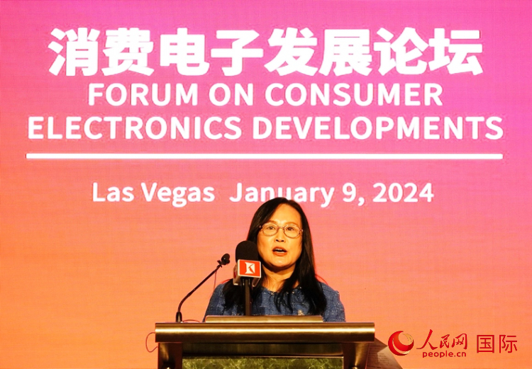中國機電產品進出口商會副會長劉春致辭。人民網記者 鄧圩攝