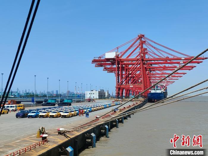 資料圖：國產新能源車在上海外高橋港區海通碼頭“整裝待發”?！∑址?攝