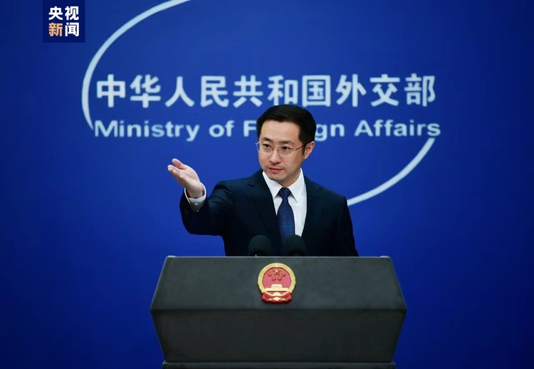 中國外交部發言人上新