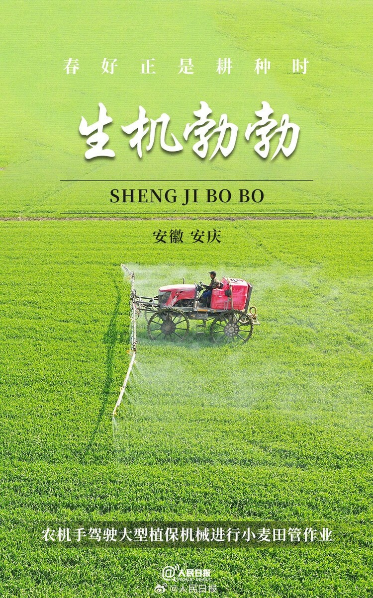 生機盎然！用課本封面打開春耕畫卷