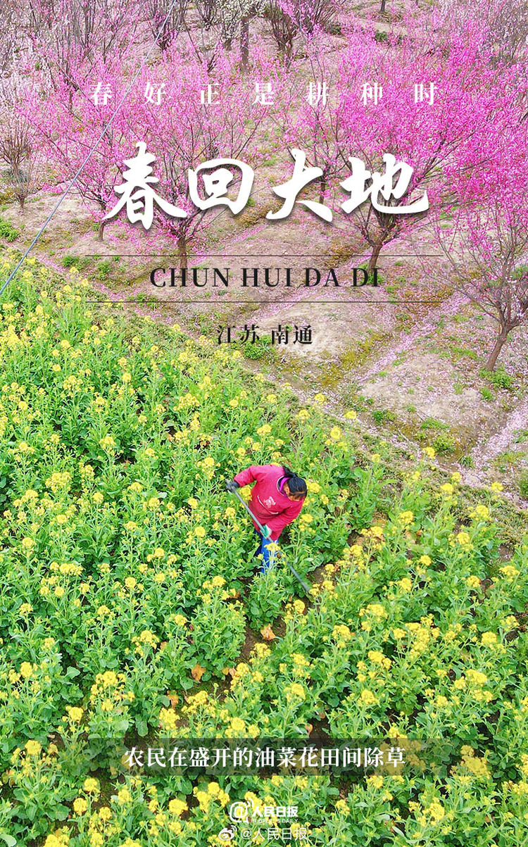 生機盎然！用課本封面打開春耕畫卷