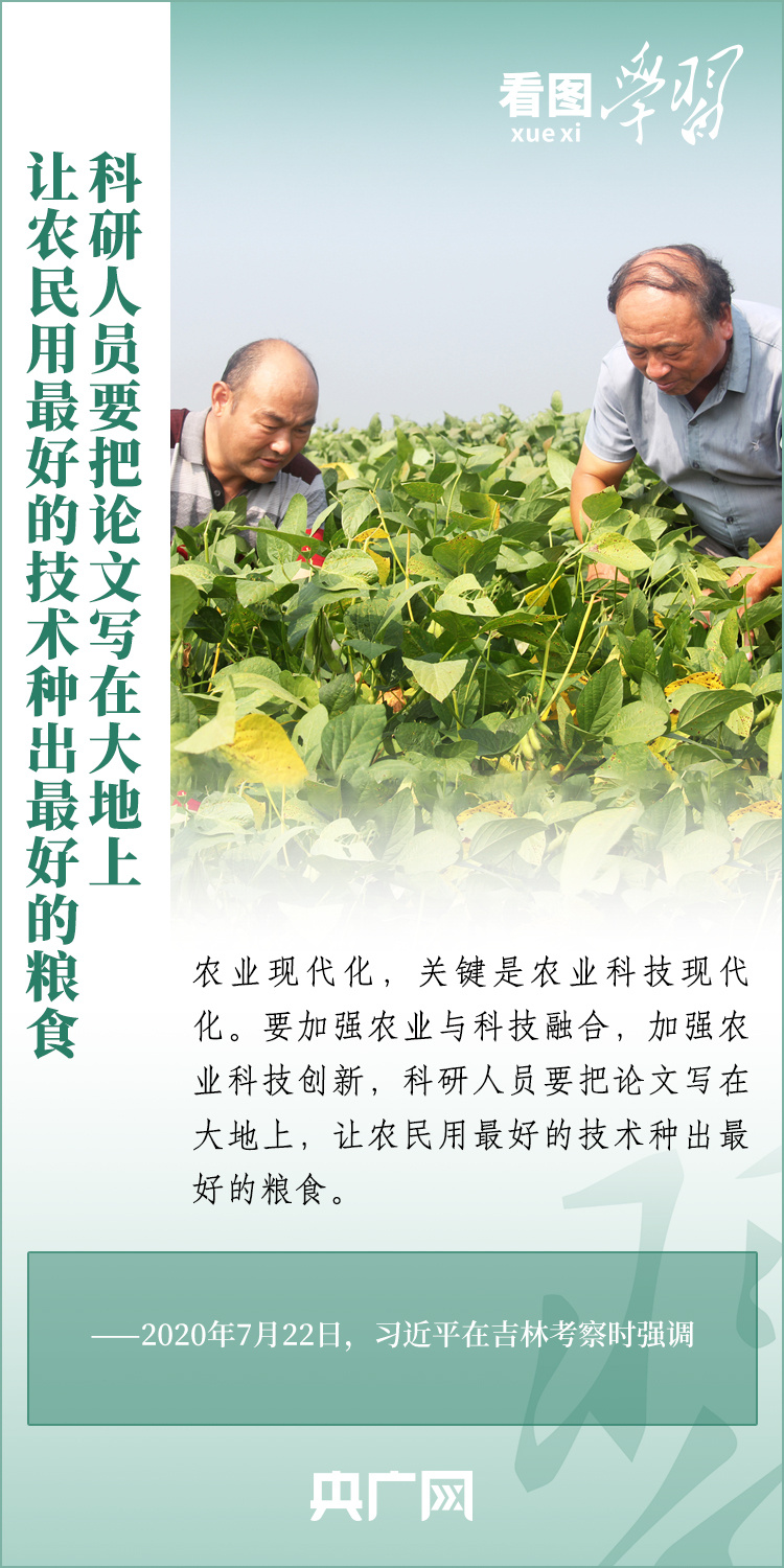 看圖學習丨推廣良田、良種、良法、良機 給農業現代化插上科技的翅膀