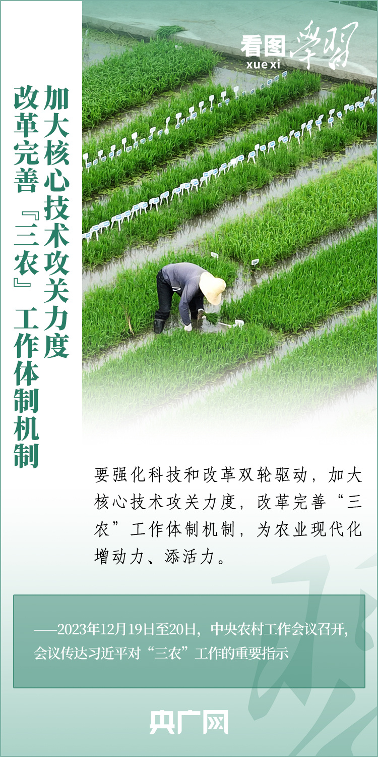 看圖學習丨推廣良田、良種、良法、良機 給農業現代化插上科技的翅膀