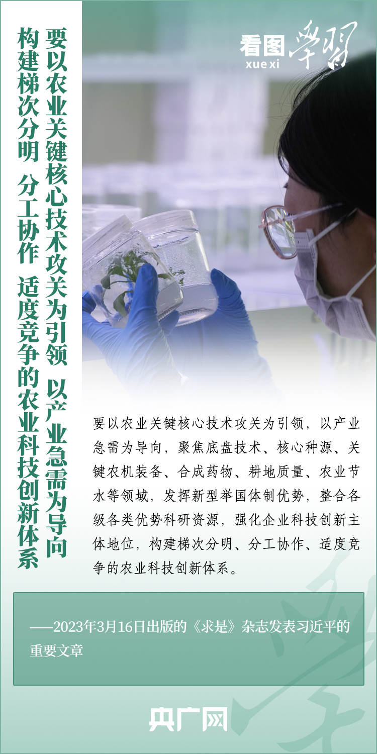 看圖學習丨推廣良田、良種、良法、良機 給農業現代化插上科技的翅膀