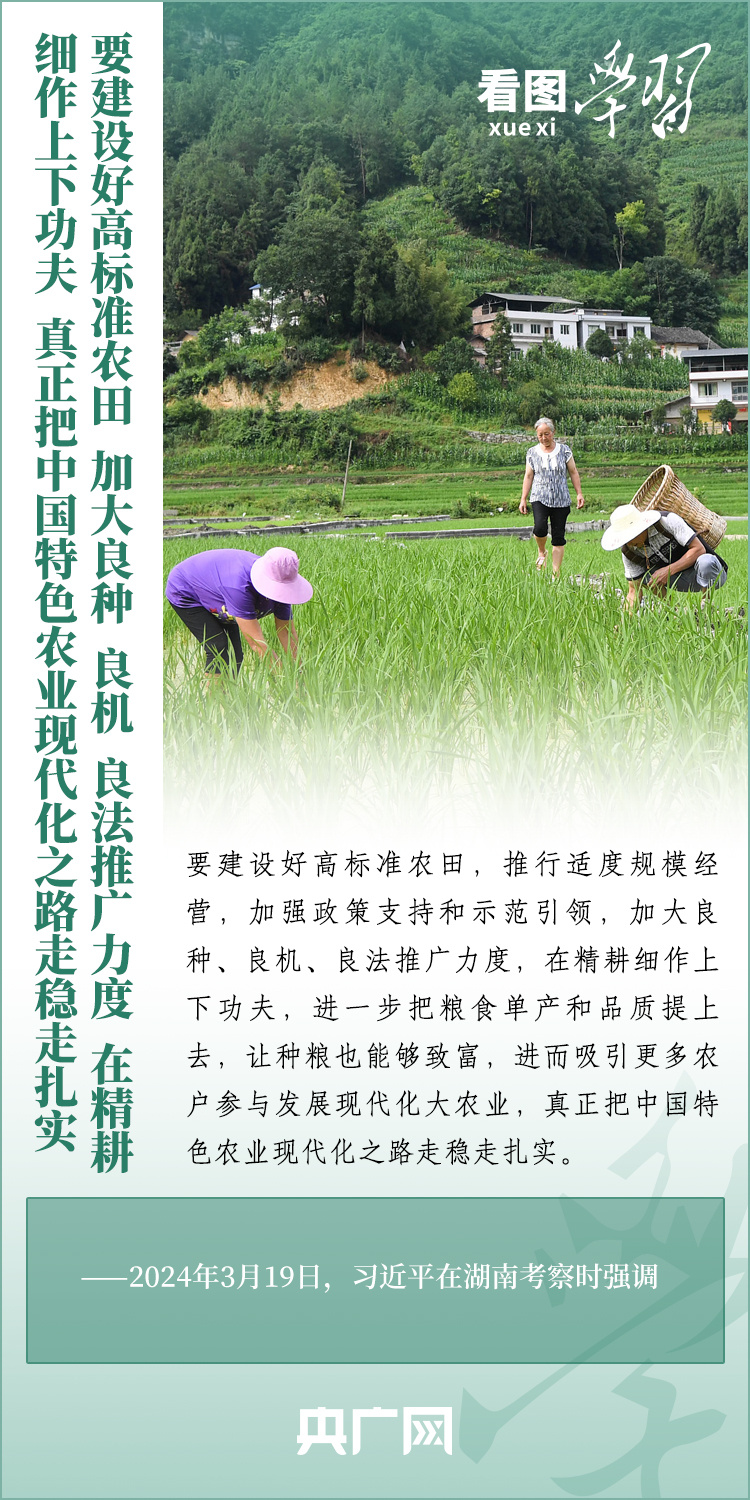 看圖學習丨推廣良田、良種、良法、良機 給農業現代化插上科技的翅膀