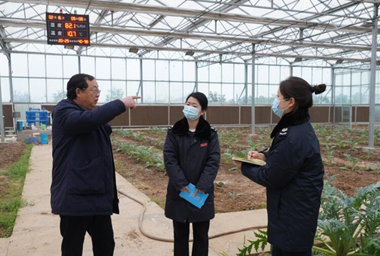 稅務干部走進常德市西洞庭管理區的朝鮮薊種植基地，宣傳稅費優惠政策，助力農企搶農時、抓春耕、穩增長。吳家豪攝