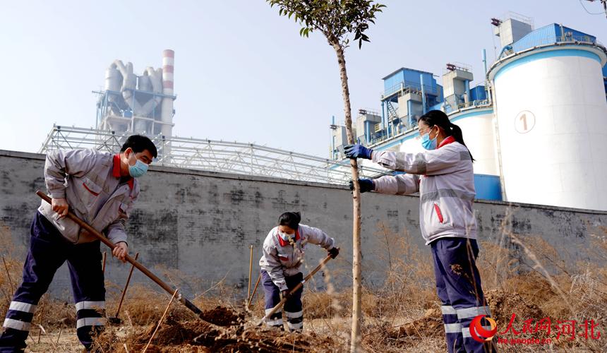邢臺金隅職工在石邢公路沿線植樹。 宋繼昌攝