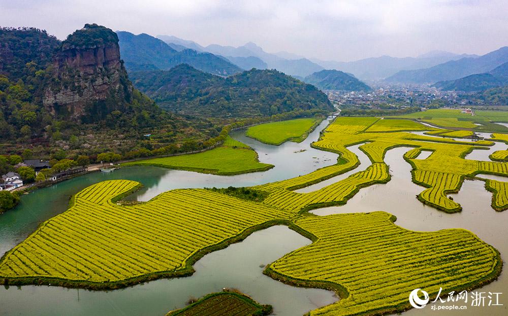 3月28日，航拍浙江省臨海市桃渚鎮桃江十三渚盛開的油菜花景色。人民網 章勇濤攝