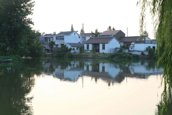 江蘇省揚州市寶應縣柳堡鎮團莊村村景。江蘇鄉村規劃建設研究會供圖