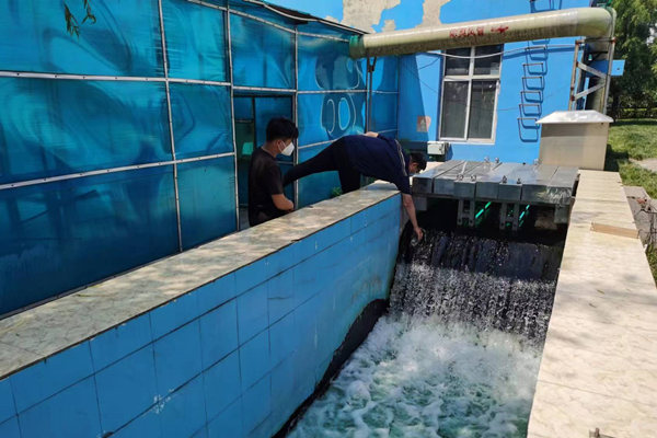 邯鄲市雞澤縣藍天污水處理廠員工正在出水口進行水質檢測。鄭佳欣攝