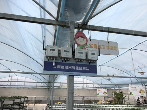 都市四季果園內的物聯網智能監測站系統。東?？h委宣傳部供圖