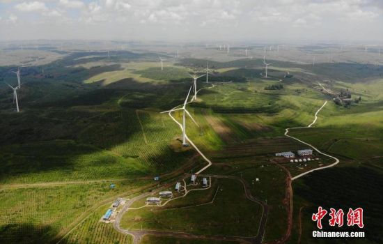 6月28日，河北張家口張北草原上大片風力發電的“風車”規模宏大。 中新社記者 楊艷敏 攝
