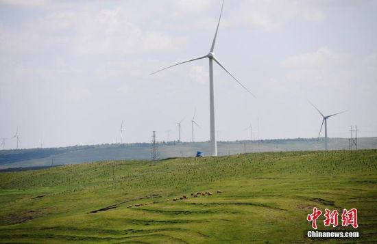 6月28日，河北張家口張北草原上大片風力發電的“風車”規模宏大。 中新社記者 楊艷敏 攝