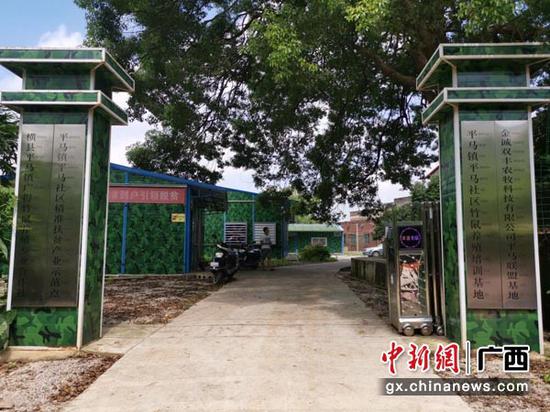 圖為平馬社區竹鼠養殖基地。