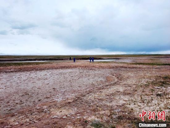 圖為救援力量在青海省西部搜救失聯的江蘇南京某大學女生黃某某。海西州藍天應急救援中心 供圖
